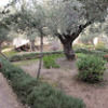 fauny120